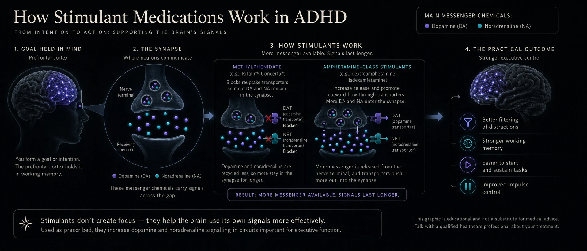 Infographic titled 'How Stimulant Medications Work in ADHD', showing four stages: a goal held in the prefrontal cortex, the synapse where neurons communicate, how methylphenidate blocks reuptake transporters while amphetamine-class stimulants increase release, and the practical outcomes of stronger executive control.